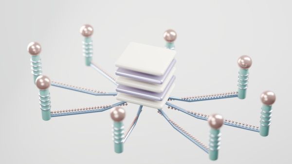 Quelles sont les meilleures pratiques pour la gestion de la configuration des applications multi-tenant?